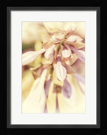 Framed Whispers and Wantings Print