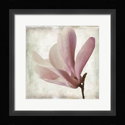 Framed Petal Purity IV Print