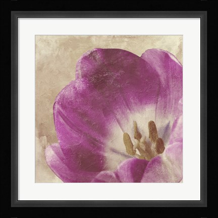 Framed Buttercream Tulip 1 Print
