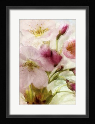 Framed Pink Cherry Blossom Print