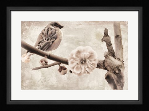 Framed Plum Blossom Print