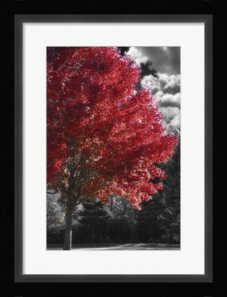 Framed New England Autumn II Print