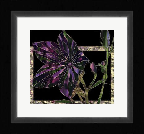 Framed Balloon Flower Print