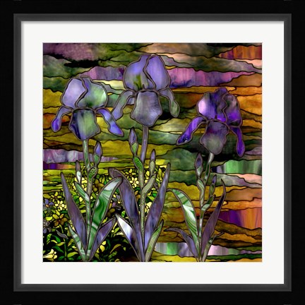 Framed Sunset Irises Print