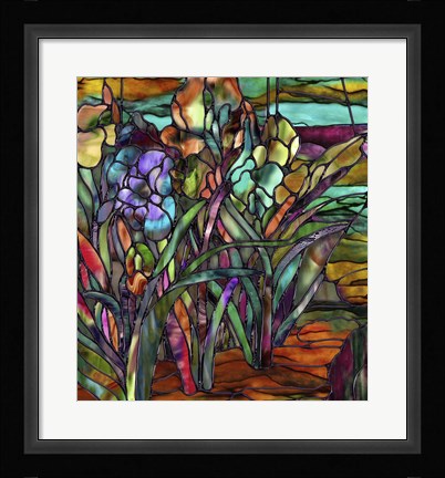 Framed Candy Coated Irises Print
