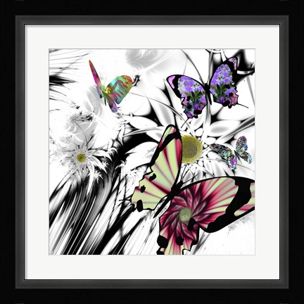 Framed Black and White Daisies Print