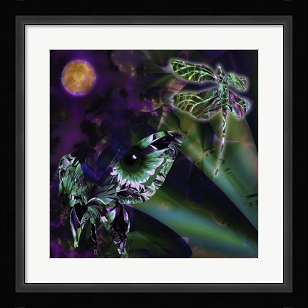 Framed Night Safari Print