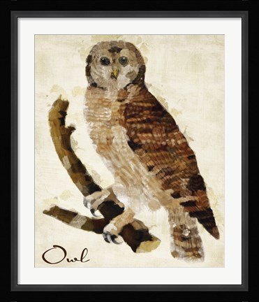 Framed Brown Owl Print