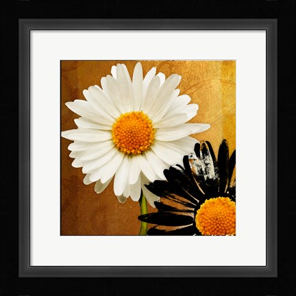 Framed Eclipse Print