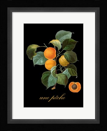 Framed Unpeche Print