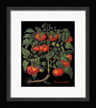 Framed Tomates Print