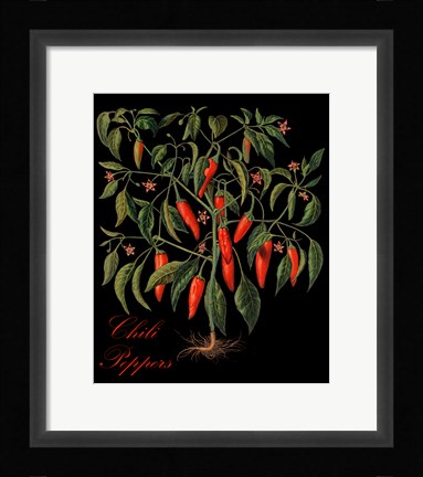 Framed Chili Peppers Print