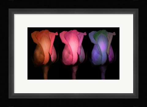 Framed Times Three Print