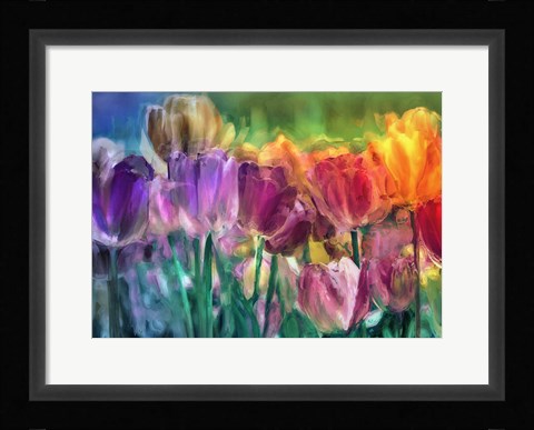 Framed Tulip Farm Print