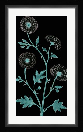 Framed Dandelion Dance Print