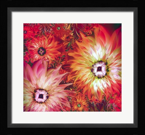 Framed Fire Asters Print