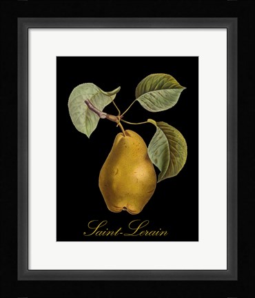 Framed St. Lerain Pear Print