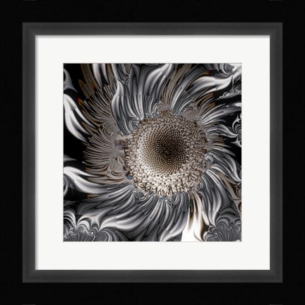 Framed Seeds From the Sun Print