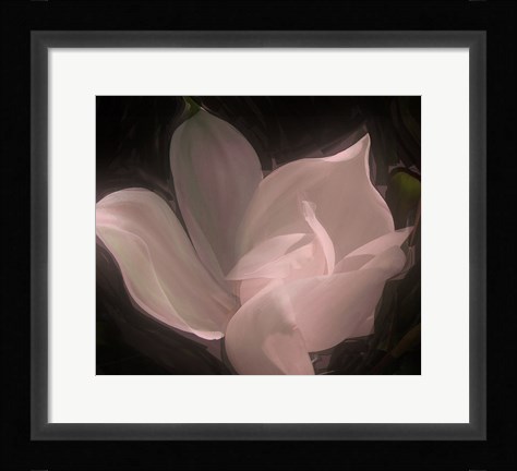 Framed Magnolia Print