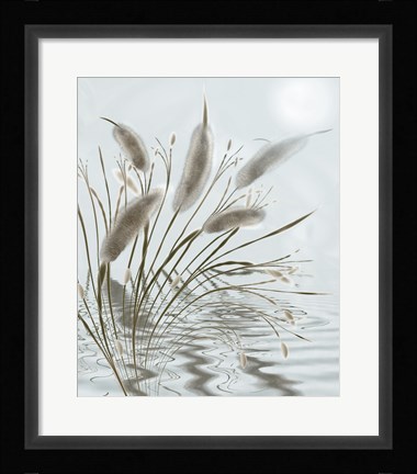 Framed Mourning Willow Pond Print