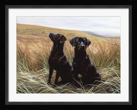 Framed Two Black Labs Print