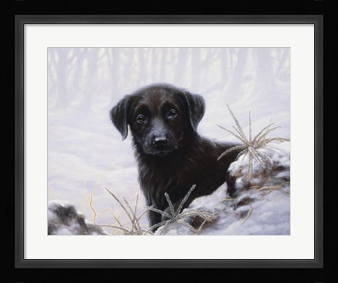 Framed In the Snow Print