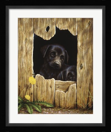 Framed Peek-A-Boo Print