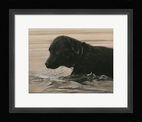 Framed Wading Print