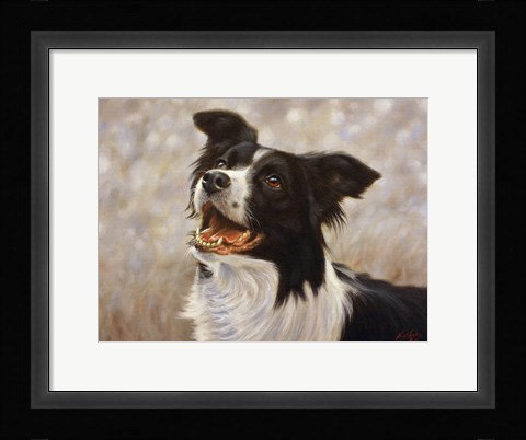 Framed Border Collie 1 Print