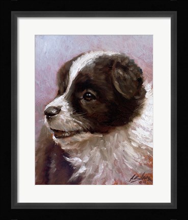 Framed Border Collie 1 Print