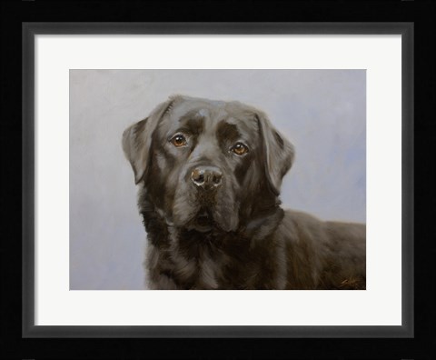 Framed Black Lab 11 Print