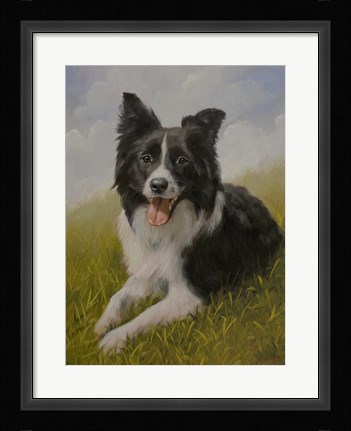 Framed Border Collie 8 Print