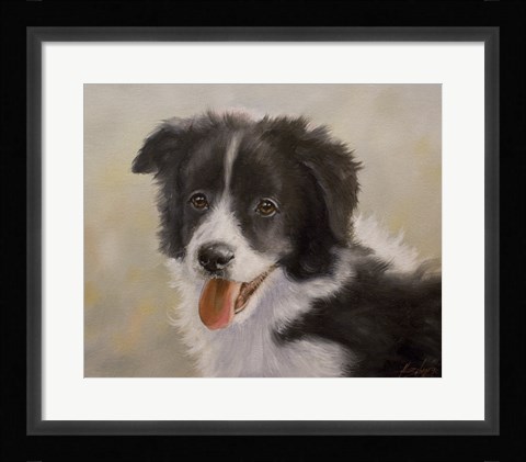 Framed Border Collie 11 Print