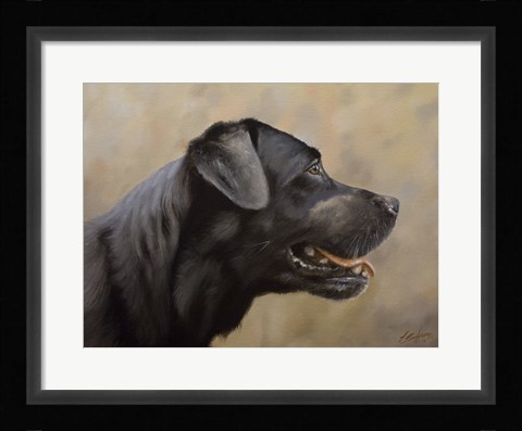 Framed Black Lab 16 Print