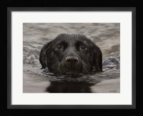 Framed Black Lab 20 Print