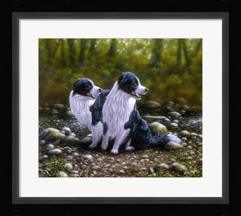 Framed Border Collie 17 Print