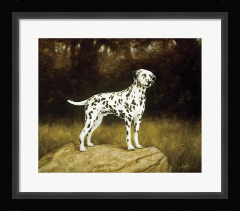 Framed Dalmatian 2 Print