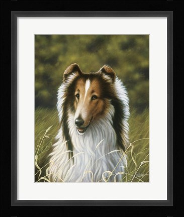 Framed Lassie Print