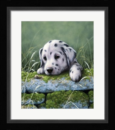 Framed Dalmatian Pup Print