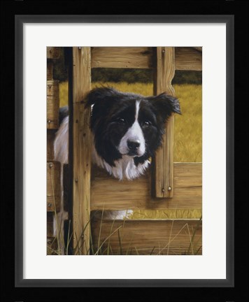 Framed Through the Fence Print