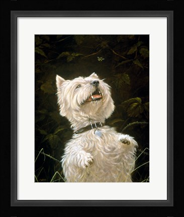 Framed Westie 3 Print