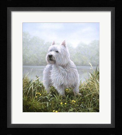 Framed Westie 5 Print