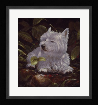 Framed Westie 6 Print