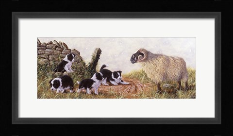 Framed Minding the Ram Print