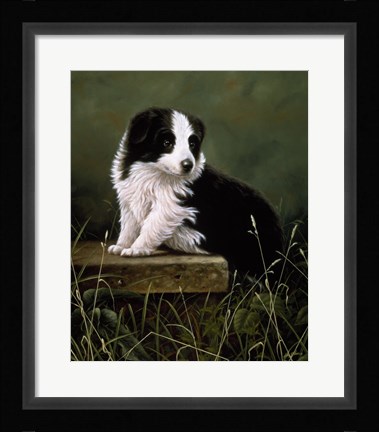 Framed Poised Print