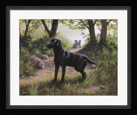 Framed On Alert Print