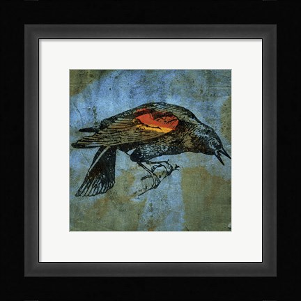 Framed Redwing Blackbird Print