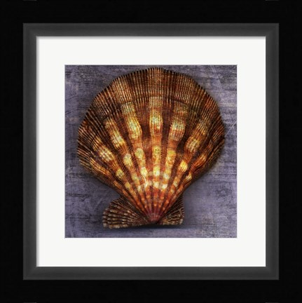 Framed Blush Rose Print