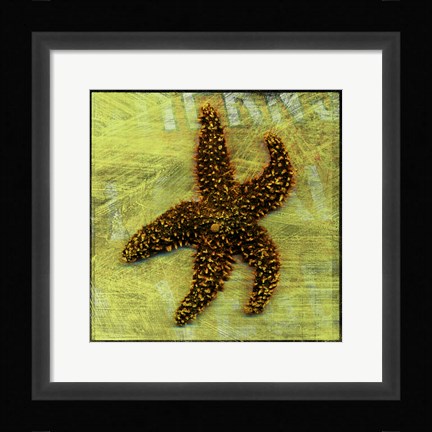 Framed Brown Starfish Print