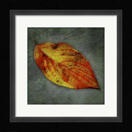 Framed Dogwood Yellow Print